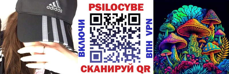 Галлюциногенные грибы прущие грибы  Горячий Ключ 